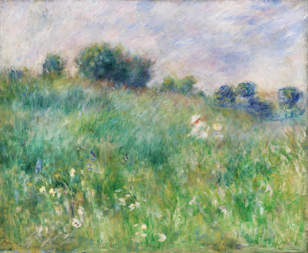 Renoir草地