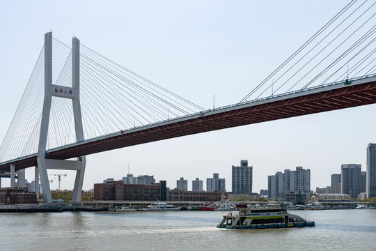 上海南路大桥黄浦江