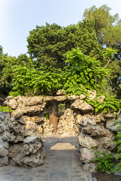 北京故宫御花园风光