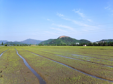 农村田园