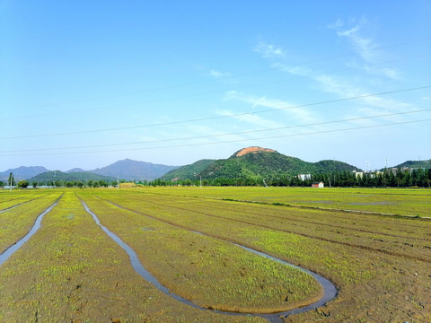 田园