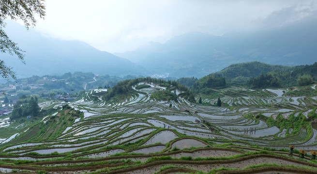 云和梯田