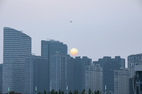 城市夕阳