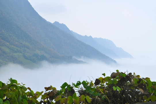 巫山巫溪CJ