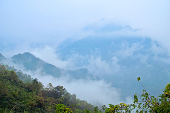 巫山巫溪UM