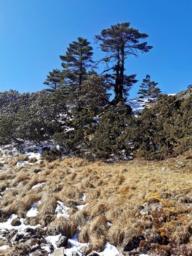 雪山