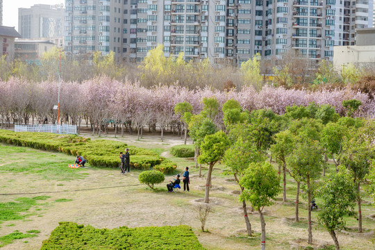 建筑景观