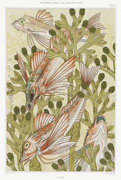 Verneuil魚