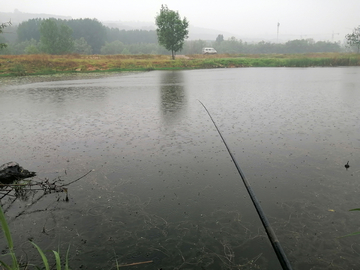 雨中垂钓