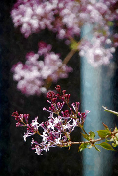 丁香花装饰画