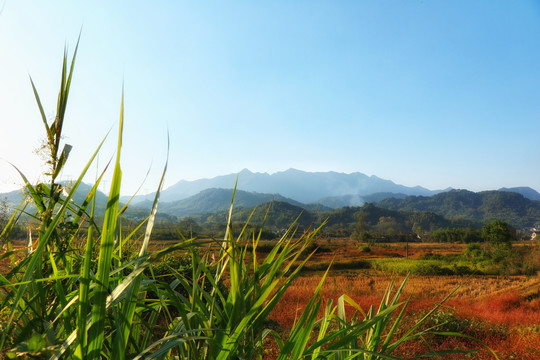 大山