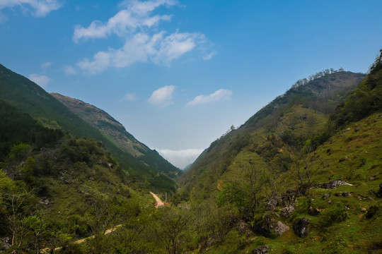 菌子山风光