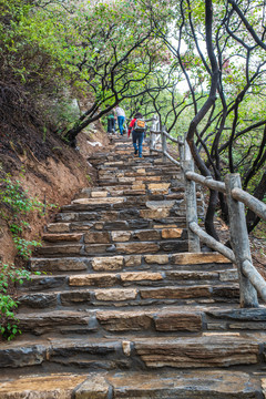 登山爬山