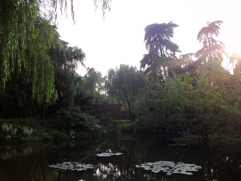 西湖景区