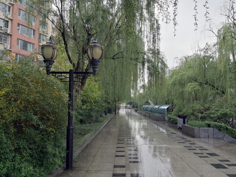 雨中的步行道