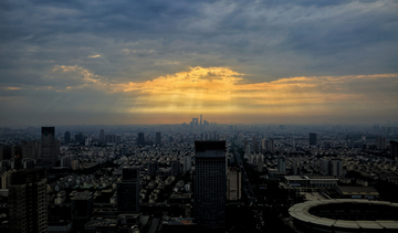 城市上空的鹰