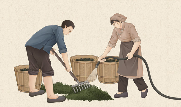 傳統(tǒng)茶藝制茶工藝工序插畫渥堆