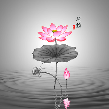 荷韻