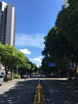 深圳南山蛇口道路树木城市街随拍