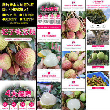 妃子笑荔枝詳情頁模板