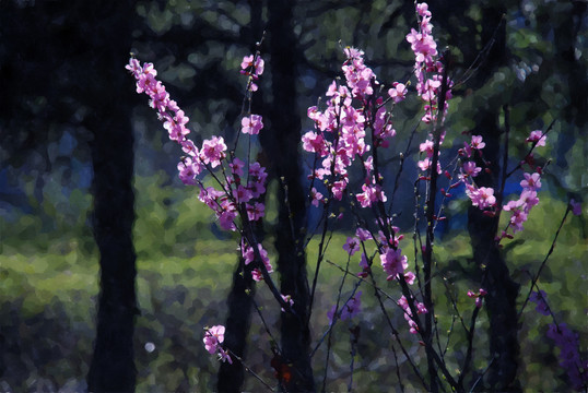 春花水彩装饰画