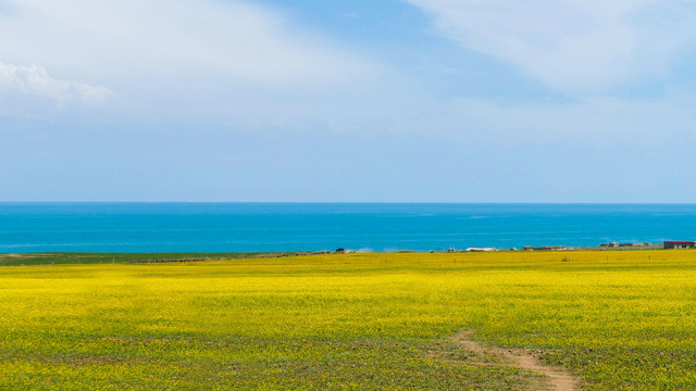 青海湖