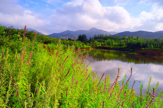 乡村风景