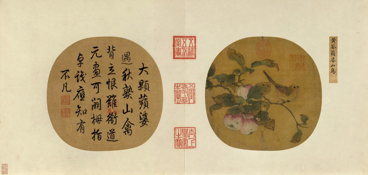 黃筌蘋婆山鳥圖