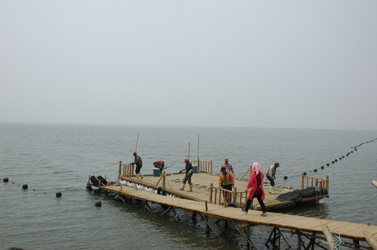 海捕渔业养殖