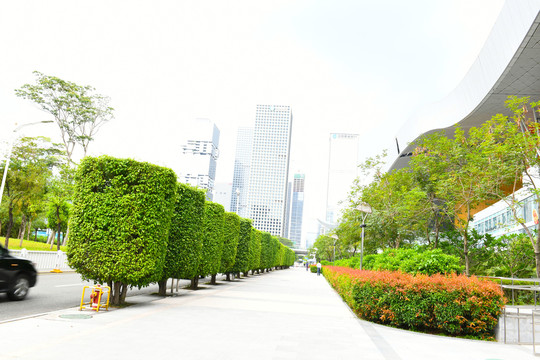 城市绿化