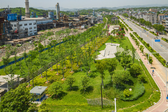 城市绿地航拍