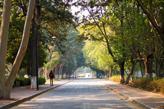 厦门大学校园