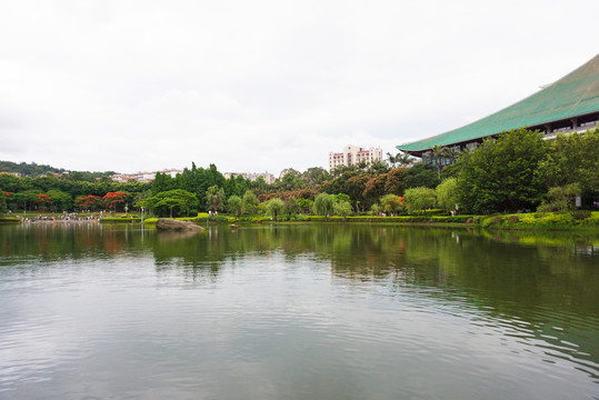 厦门大学芙蓉湖