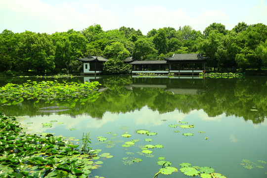 烟雨西湖