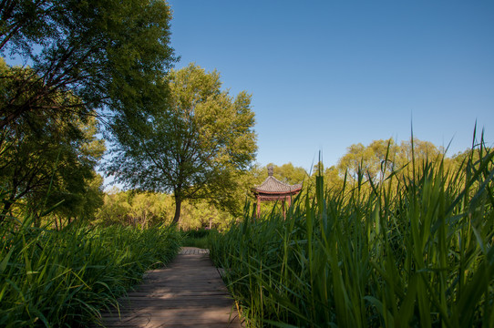 大同平旺公园