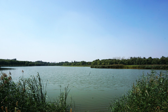 三海子湖