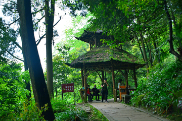 登山道路