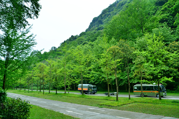 景区绿化风景