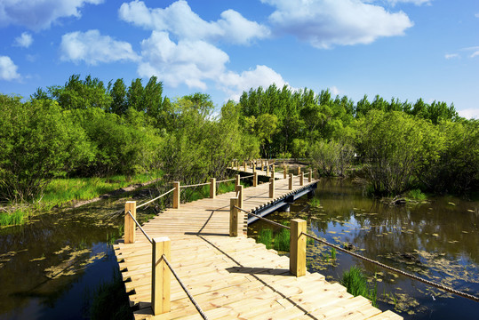 森林湖水栈桥