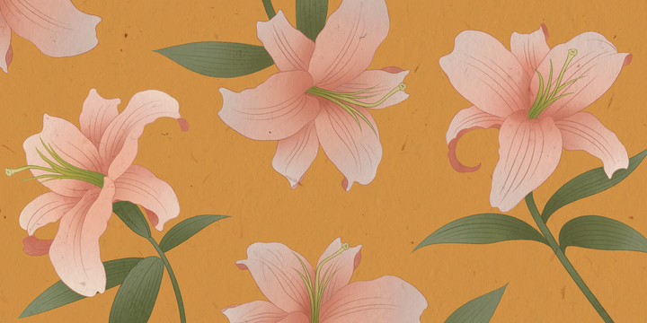 國風(fēng)手繪傳統(tǒng)花卉百合花