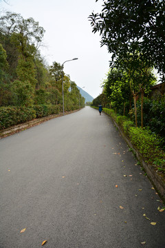 马路柏油路