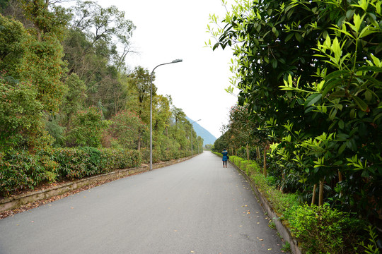 公路风景