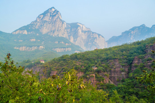 云台山茱萸峰