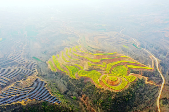 黄河田园风光