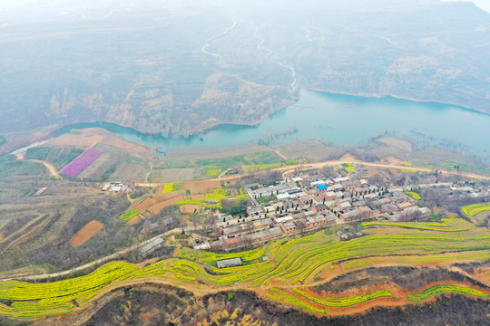 黄河田园风光