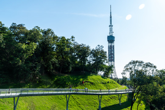 广州云道和电视塔