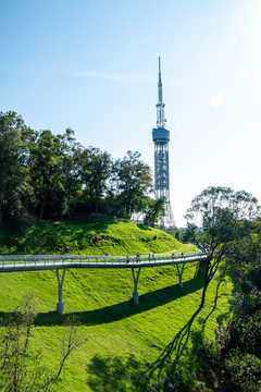 广州云道和电视塔