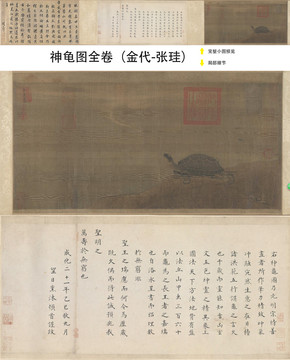 張珪神龜圖
