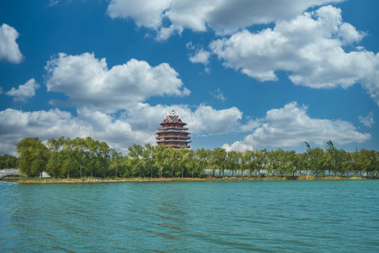 邳州沙沟湖水杉公园