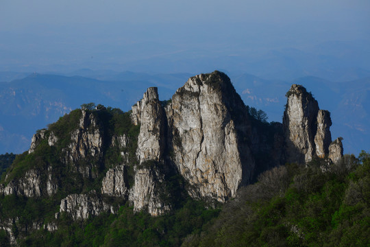 王莽岭山峰